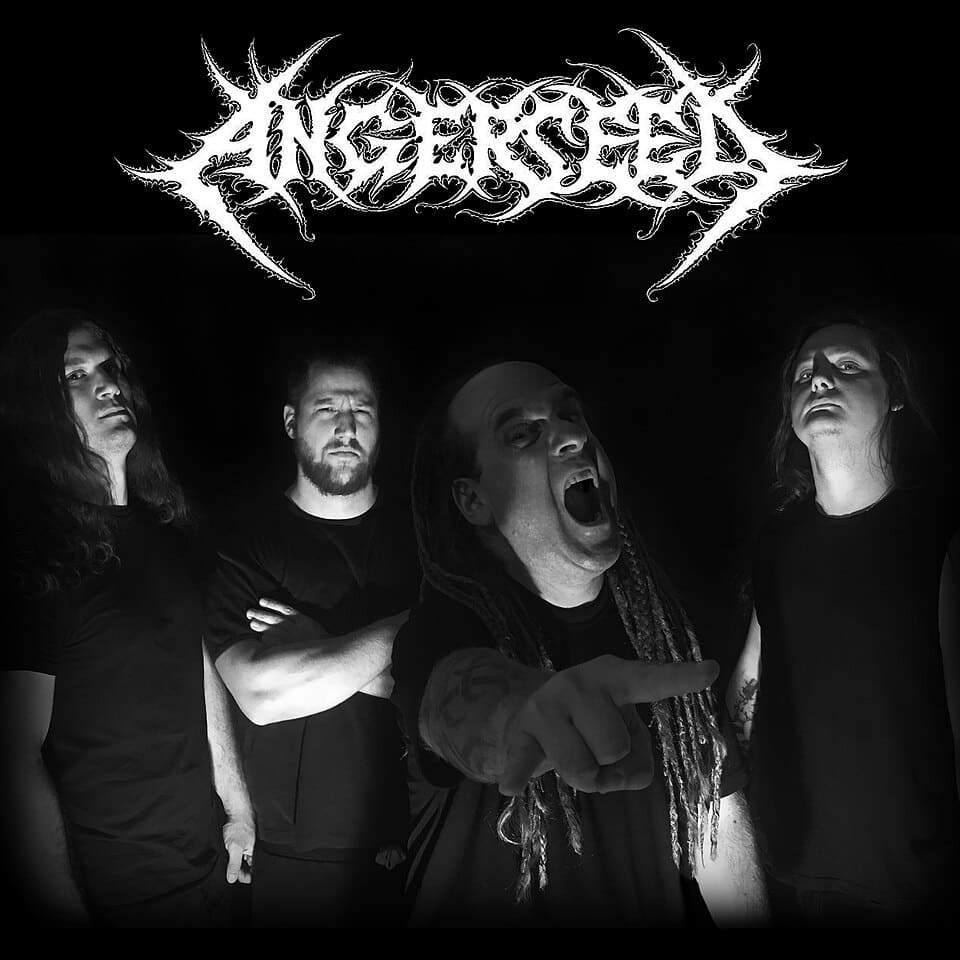Angerseed
